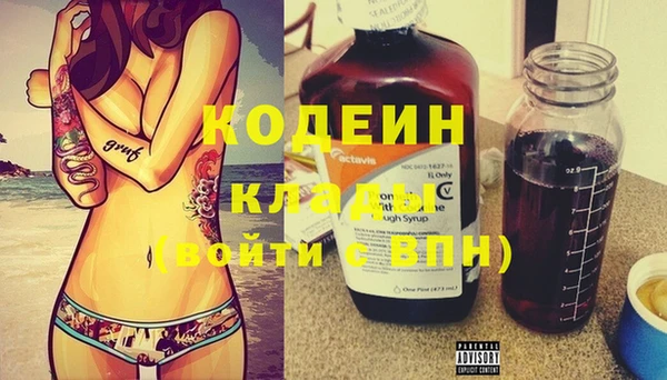 ПСИЛОЦИБИНОВЫЕ ГРИБЫ Кодинск