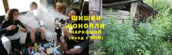 таблы Козельск