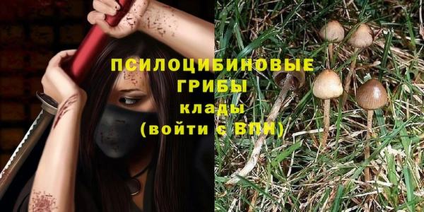 гидропоника Ханты-Мансийск