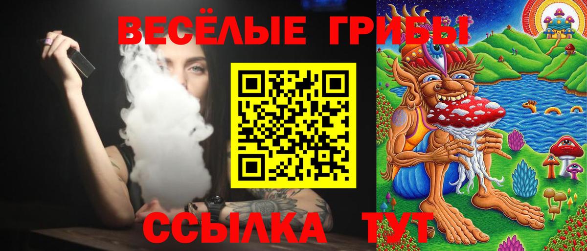 Галлюциногенные грибы Psilocybe Бердск