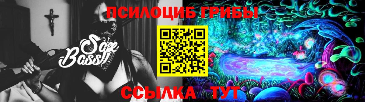 Бердск  Галлюциногенные грибы GOLDEN TEACHER  купить   Псилоцибиновые грибы прущие грибы  Вход с VPN 