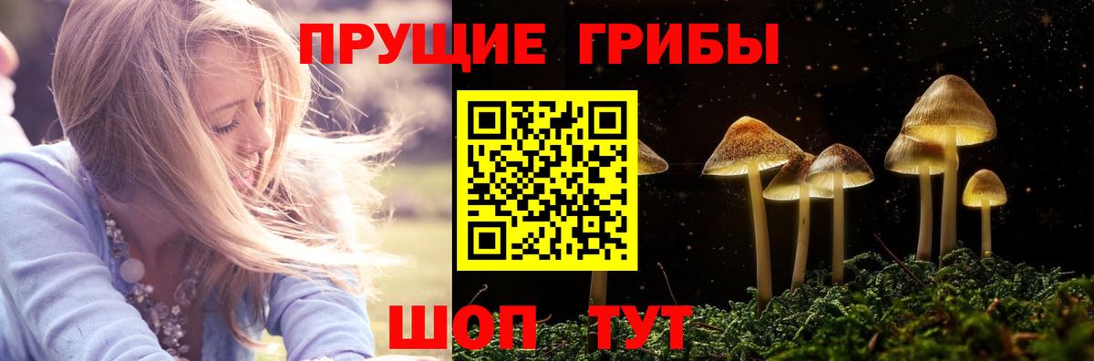 Галлюциногенные грибы ЛСД Бердск